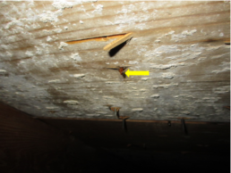 Example of widespread moisture stains and organic growth throughout the underside of the roof decking within an attic space of a residence.