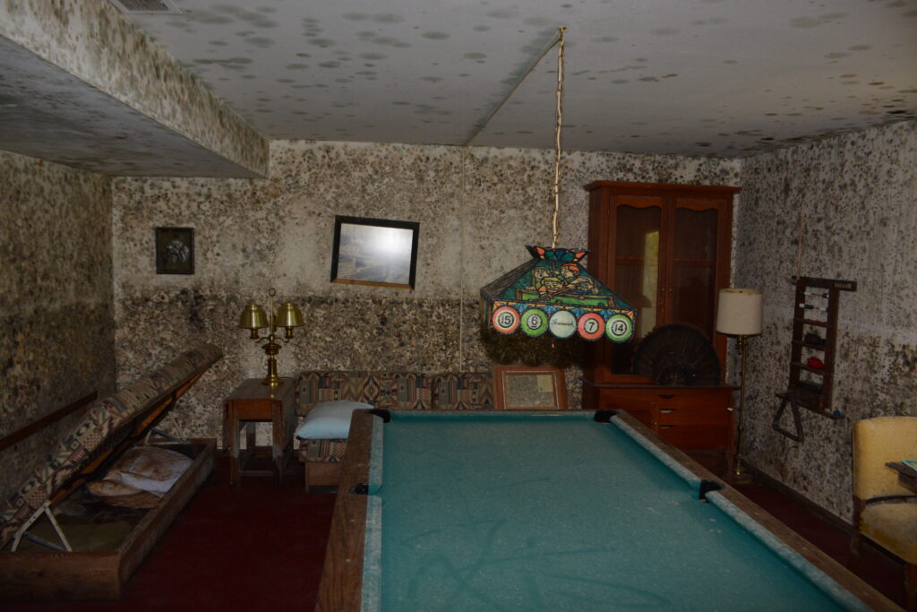 mold growth in home