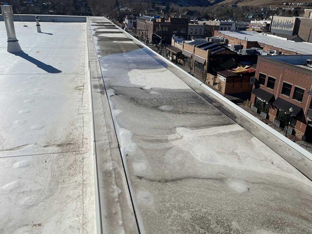 Insurance Investigation Knott Lab