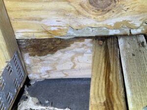 Moisture intrusion in wood structure