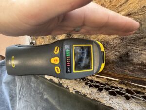 Moisture meter displaying reading